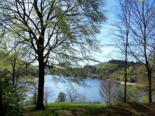 House Village gites la planette g9