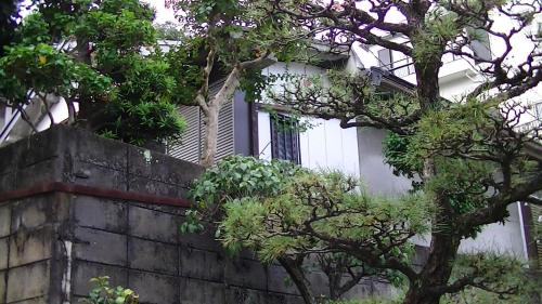 Minshuku Chatamago in Nagasaki