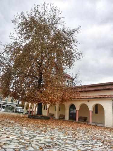 Village House Grevena