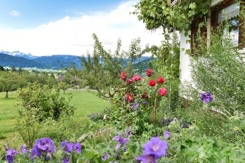 Ferien in Feld 109 - image 2