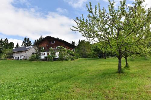 Ferien in Feld 109 - image 7
