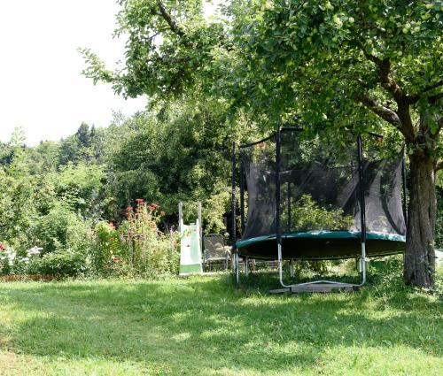 Ferien in Feld 109 - image 4