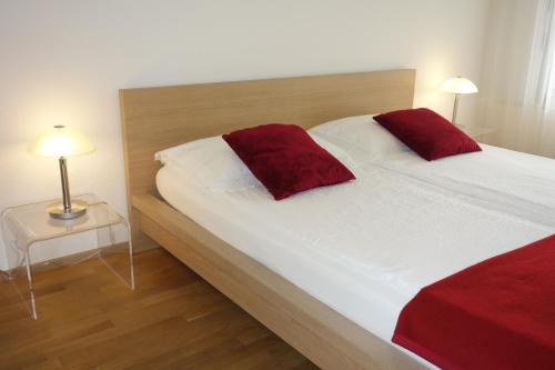Exclusive Central Apartment, Basilea (foto 6)