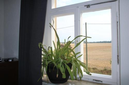 Kilátás, Zum Alten König (Zum Alten Konig) in Cavertitz