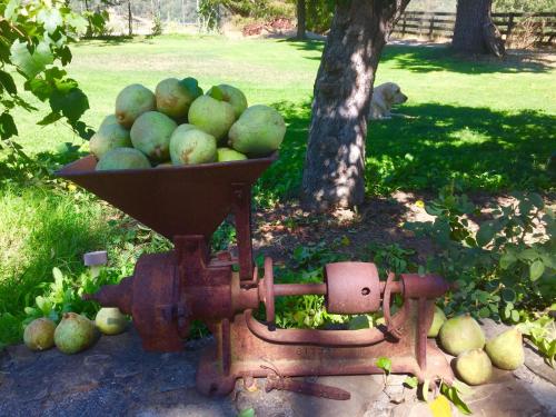 Rustridge Ranch & Winery - image 6