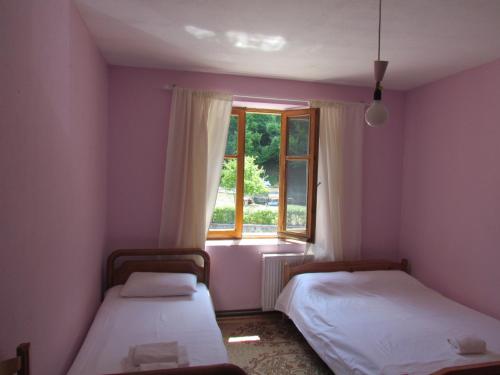 Hotel Germenji - image 4