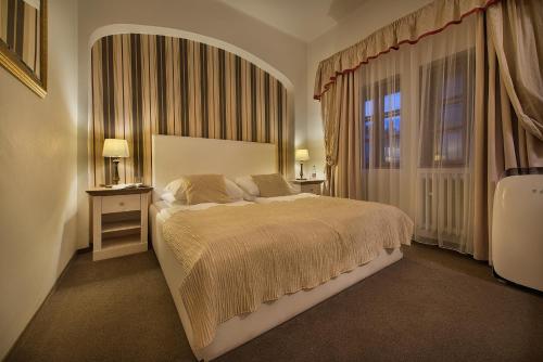 Hotel U 3 Pstrosu, Praha (fotografie 6)