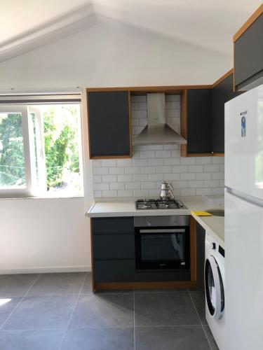 the shores resort spa