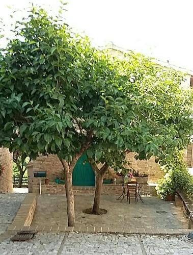  Casetta Nonna Augusta (Spello 9 km-Assisi 12 km) in Spello