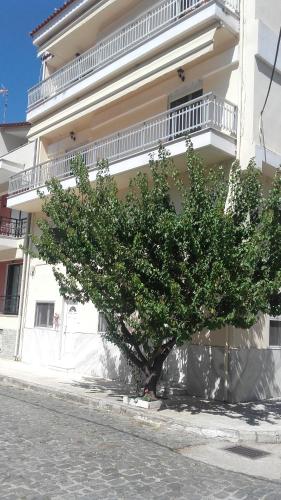  Κομοτηνη Α in Komotiní