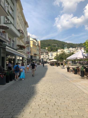 Apartman Orchidej u Vridla