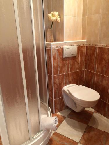 Apartmán Orchidej u Vřídla - image 2