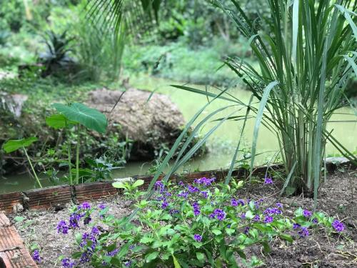 Phuc Sinh Homestay Ben Tre Vietnam