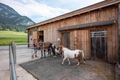 Narzenhof Wellness Chalets, Familien & Luxus Apartments am Bauernhof