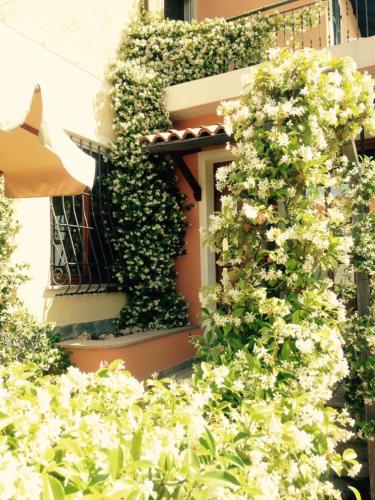 Albergo Ristorante Bergallo hotel Magliolo