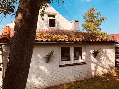  Farmhouse near beach in Kloosterzande