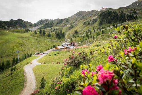 Balbach Alm Apartment