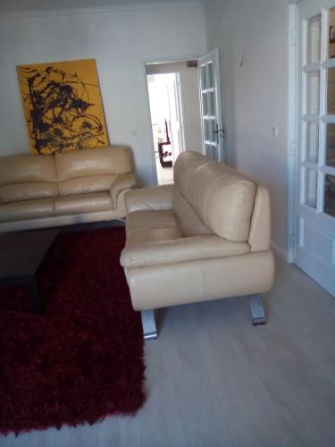  Casa Moliceiro in Aveiro