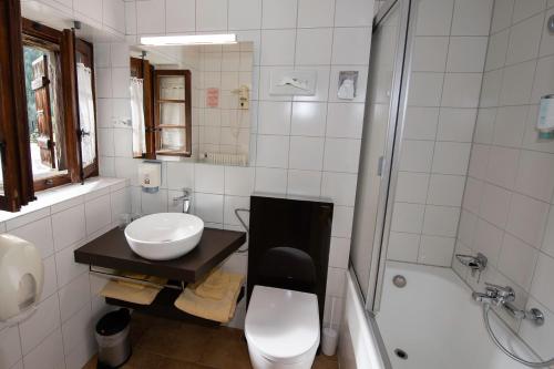 Hotel de Moiry Supérieur - image 12