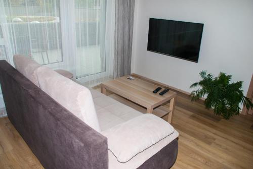 Sunny, fully furnished Studio type with terrace, Plzeň (foto 2)