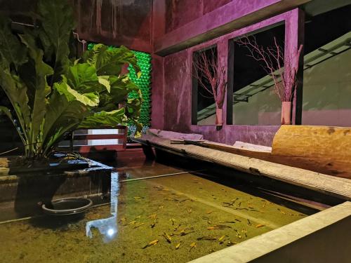 Bat & Arrow in 파당