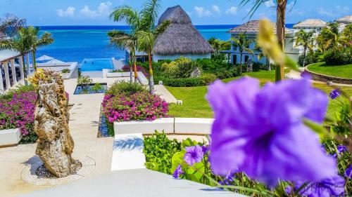 花園, Las Verandas Hotel & Villas in 羅阿坦島