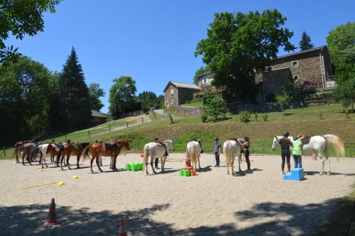 Les Ecuries de la Sabatarié - Cambounès