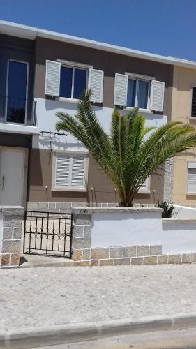  Palmeira in Faro