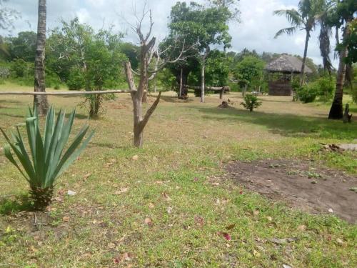 Mida Creek Nature Camp
