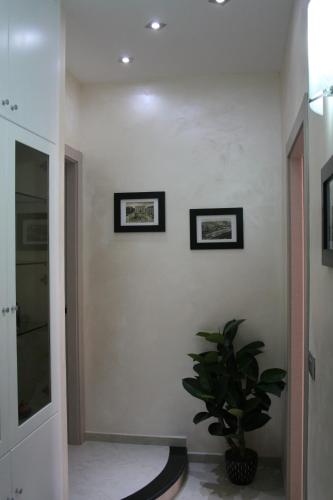 Campi Elisi - image 9