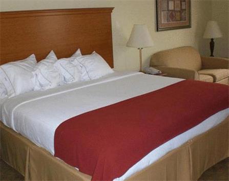 Holiday Inn Express Hotel & Suites Zapata an IHG Hotel - image 3
