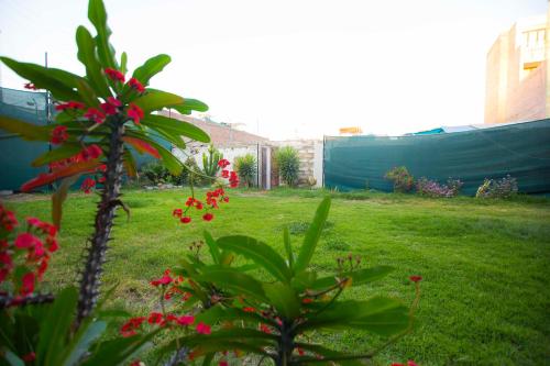 Hotel La Casona Del Olivo Arequipa