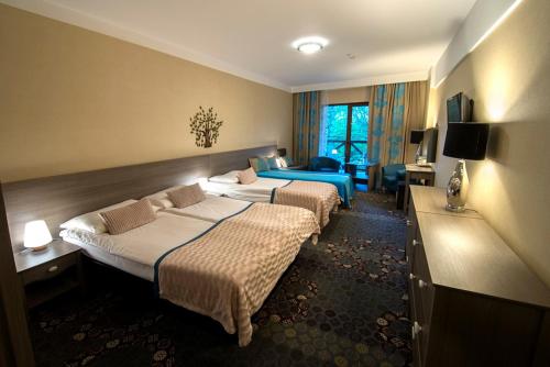 Hotel EUROPA - Górnicza Strzecha – Szklarska Poreba, ND