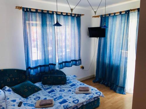 Apartament Zarnesti Zărneşti 