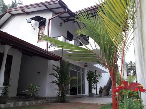 White Wall Hotel in Dompe