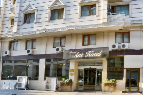 Grand Ant Hotel, Стамбул (фото 4)