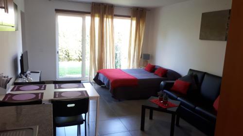 King Studio with Sofa Bed