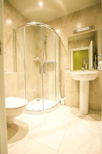 Mc Kevitts Village Hotel - image 3
