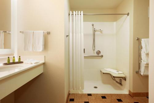 Executive Suite - Disability Access with Roll In Shower