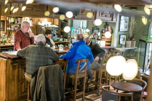 Mc Kevitts Village Hotel - image 4