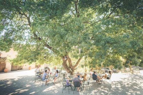  Agriturismo Selvella, Pension in Radicofani bei Contignano