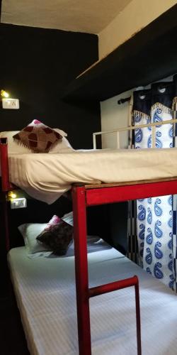 Share Hostel Munnar by TreeMonks