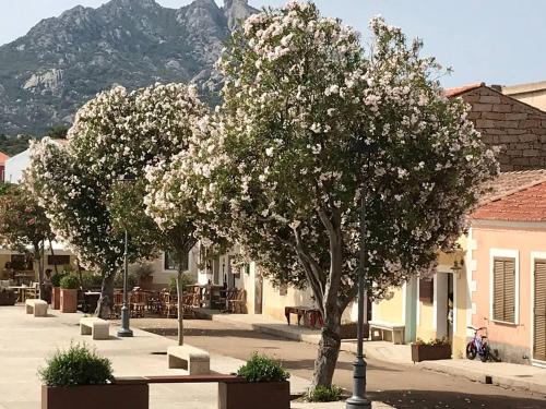 Place San Pantaleo : jolie maison sarde authentique
