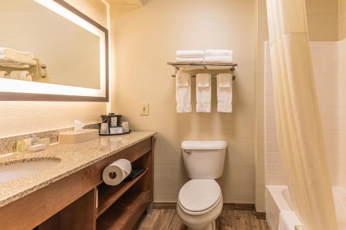 Coshocton Village Inn and Suites Room Type - King Suite with Spa Bath