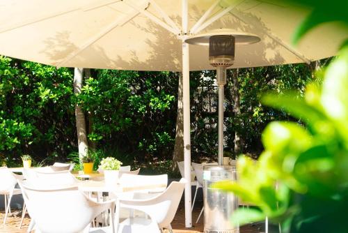Horse and Jockey Hotel Homebush - image 3