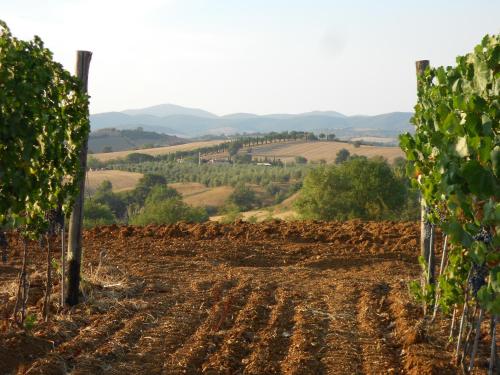 Agriturismo I Casamenti - image 13