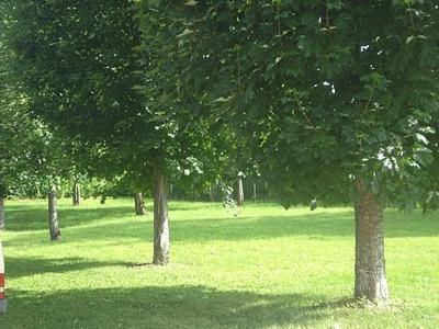 周邊環境, Chambres d'hôtes la Chaumière (Chambres d'hotes la Chaumiere) in 弗爾芒通