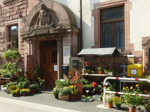 Ferienwohnung Pusteblume