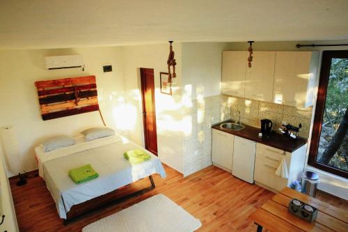 Donkey Farm Martinici - Farma magaraca Martinici in Danilovgrad