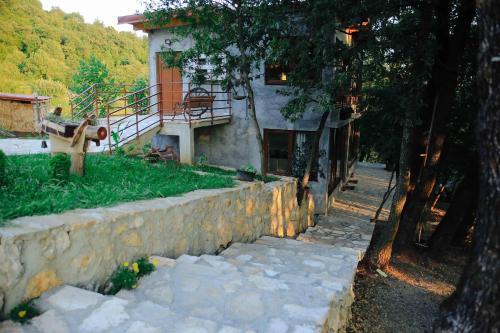 Garden, Donkey Farm Martinici - Farma magaraca Martinici in Danilovgrad